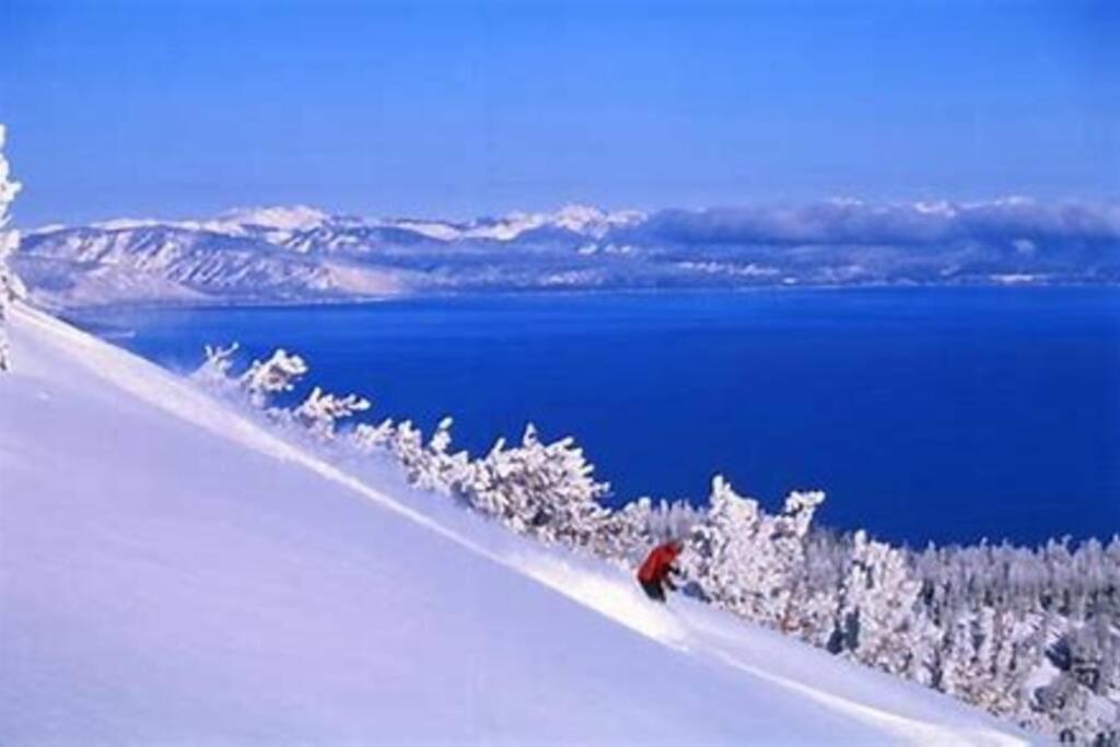 Ski In/Out - Zalanta - Great Location- 2 Hot Tubs - Heated Pool South Lake Tahoe Extérieur photo